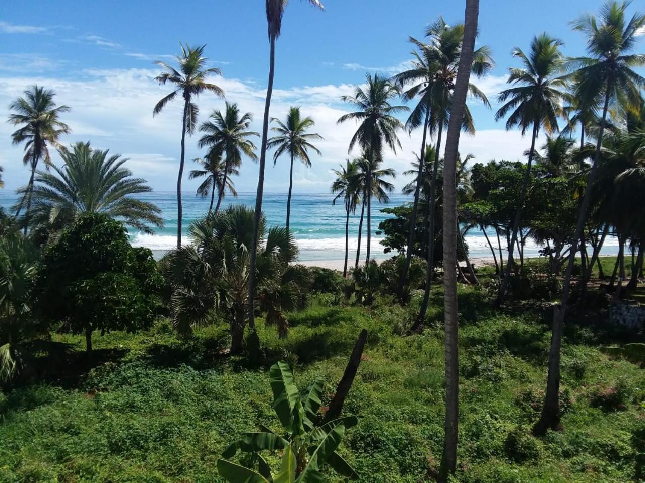 Oasi Encantada - Beach Resort Barahona Exteriér fotografie