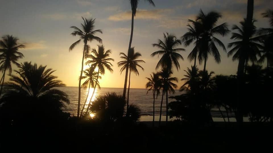 Oasi Encantada - Beach Resort Barahona Exteriér fotografie